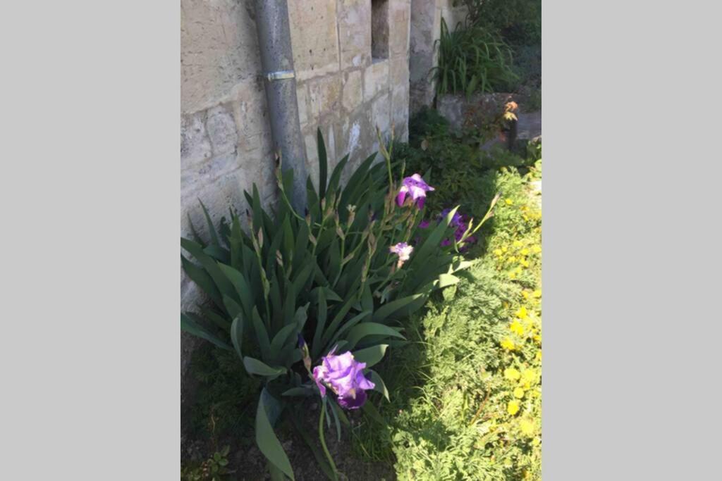 Petite Maison De Caractere Vila Parey-sous-Montfort Exterior foto